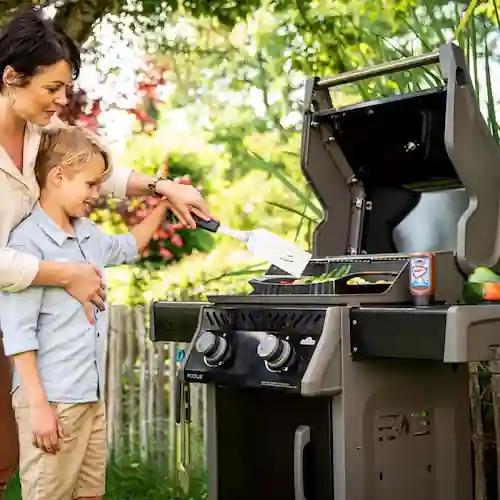 Napoleon Rogue 365 Gazlı Mangal: Küçük Alanlarda Profesyonel Performans