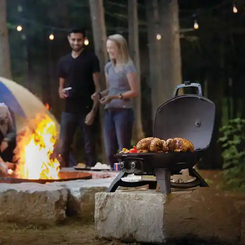 Napoleon TravelQ 285: Bavul Pratikliğinde Profesyonel Gazlı Mangal Performansı